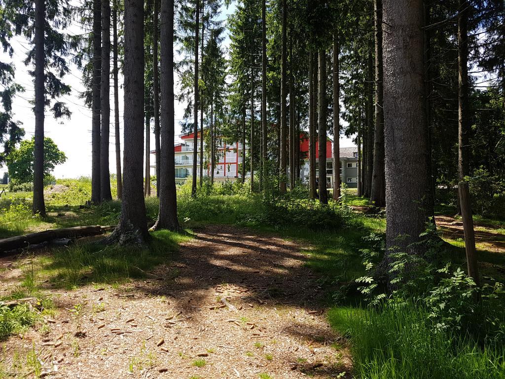 Schwarzwald Lodge Rothaus Grafenhausen Kültér fotó